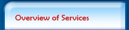 Overview of Services